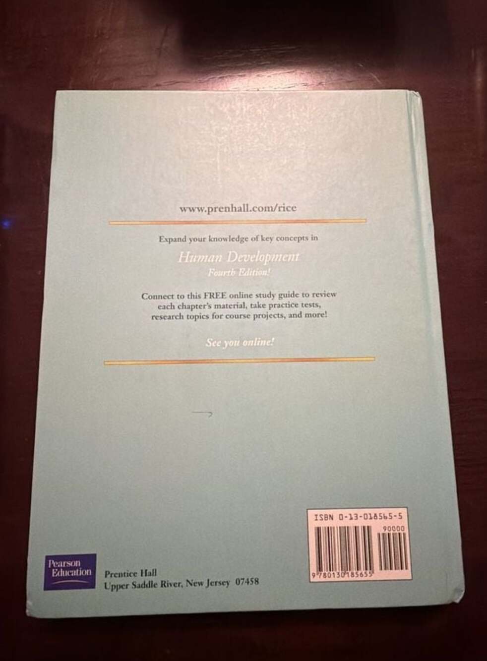 Human Development by F. Philip Rice, Fourth Edition - Picture 2 of 4